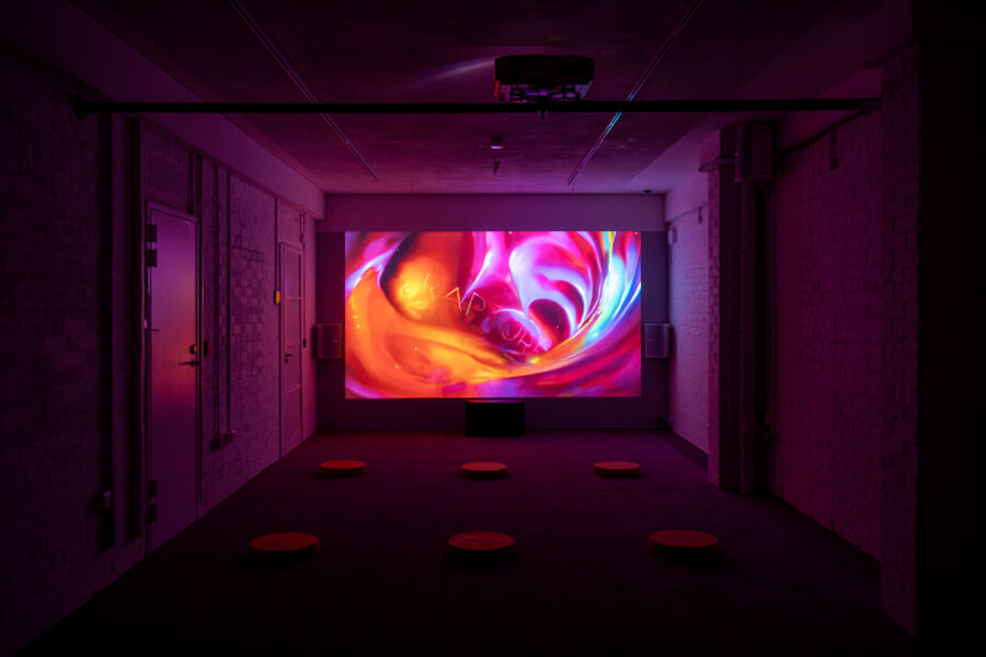 Photo from the RAPTURE exhibition, showing a dark room lit up by a screen playing the video