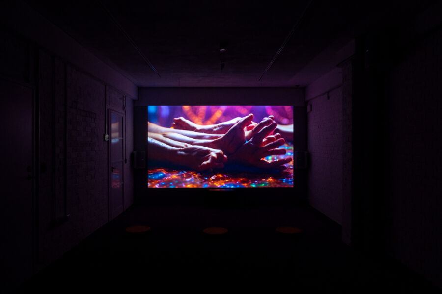 Photo from the RAPTURE exhibition, showing a dark room lit up by a screen playing the video