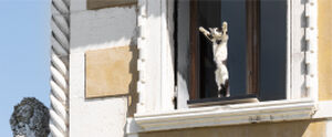 15 collateral exhibitions to see in Venice during and beyond the 2026 Art Biennale - Zero