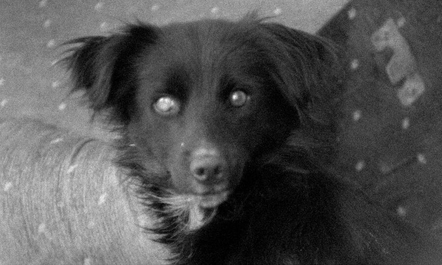 Image still from: The Prologue, 2026, in collaboration with Rhyw, S16mm film transferred to video, 11:27 minutes, black and white, stereo